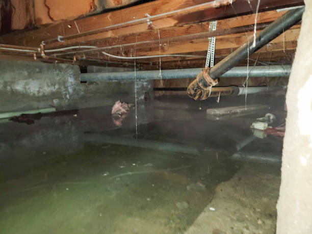 Best Water damage restoration near me  in Simpsonville, SC