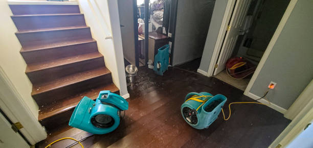 Best Commercial water damage restoration  in Simpsonville, SC
