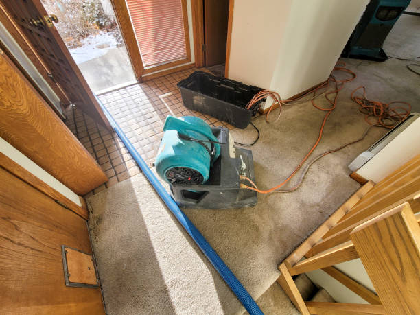 Best Flooded house restoration  in Simpsonville, SC