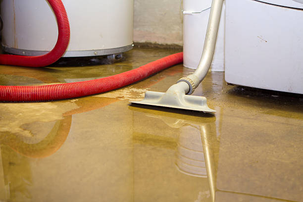 Best Flood restoration services  in Simpsonville, SC