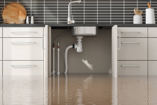 Best Fire Damage Restoration  in Simpsonville, SC